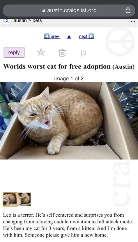 to have both features and blackwhite coloring of his father. . Craigslist austin pets